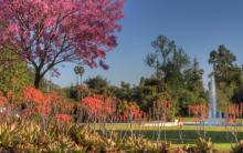 Los Angeles County Arboretum