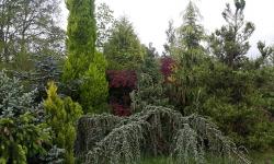 Arboretum Arboretum