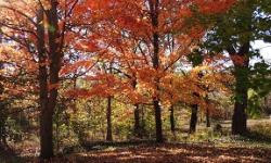 Fall photo Fall photo