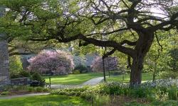 arboretum arboretum